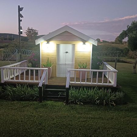 Little Tree Loft 2 Uitenhage Exterior foto