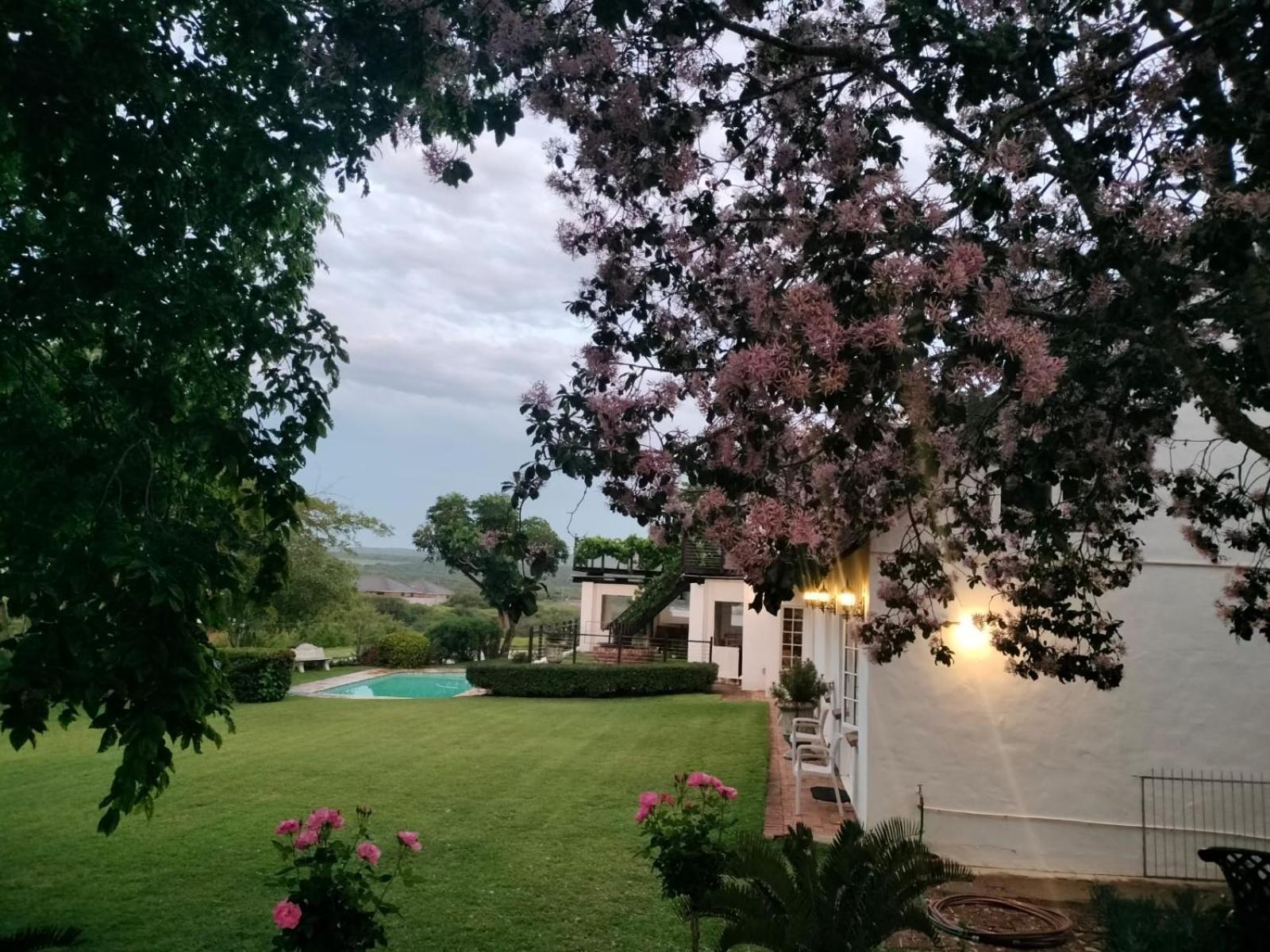 Little Tree Loft 2 Uitenhage Exterior foto